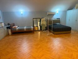Tuan Sing Park (D28), Semi-Detached #579755801